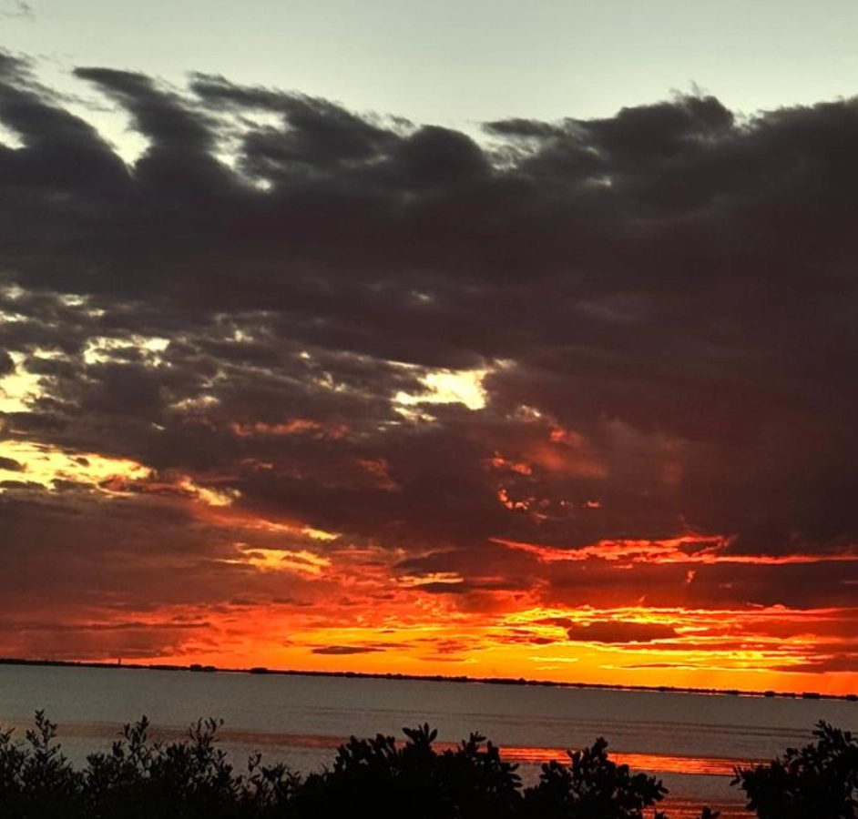 Facilitación de grupo